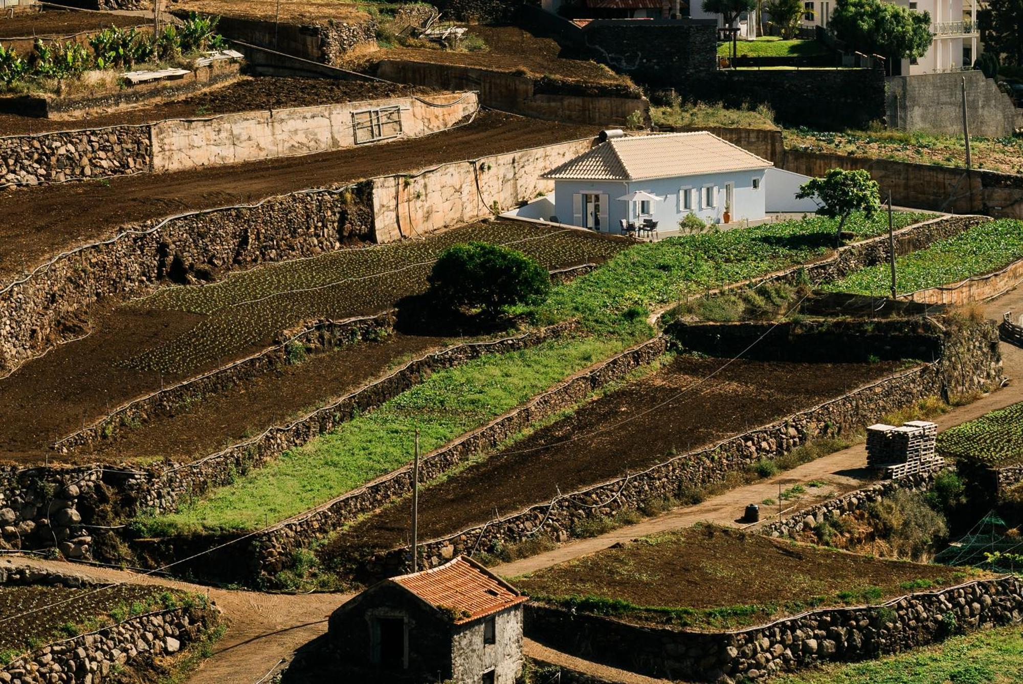 Casa Ti'Rosa Villa Caniço Buitenkant foto